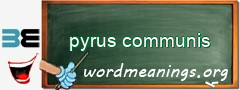 WordMeaning blackboard for pyrus communis